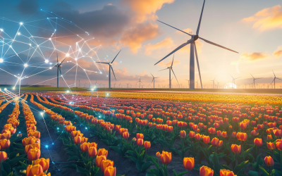 The Future of the Chemical Industry in the Netherlands: An Overview